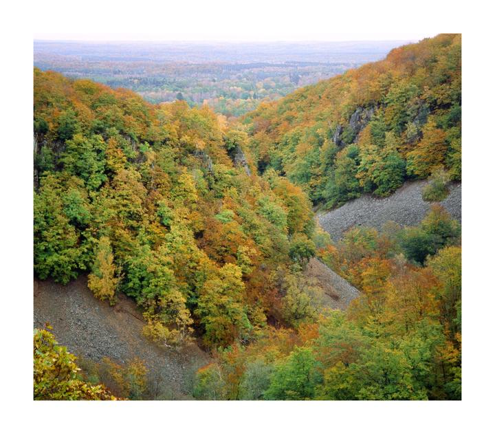A valley filled with autumn trees and rocky slopes stretches into the distance under a hazy sky.