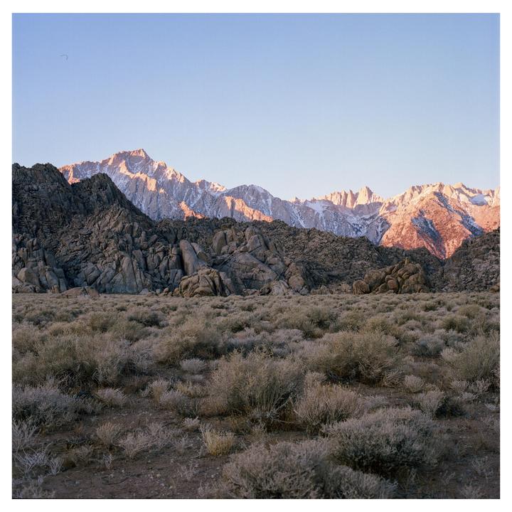 A vast field of dry brush leads to a rocky mountain range with snow-capped peaks illuminated by the setting sun.