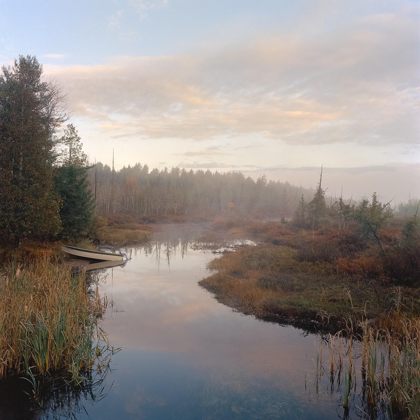 A small boat is docked on the bank of a misty river surrounded by trees and tall grass.