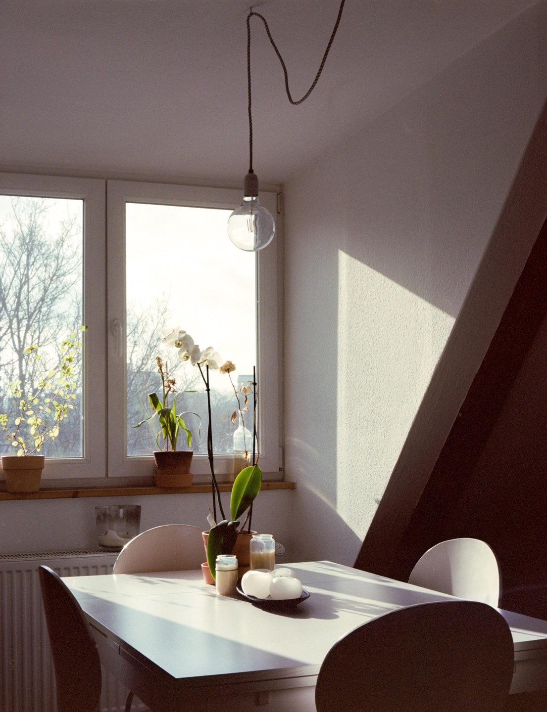 Sunlight streams through a window onto a dining table with potted plants and candles.