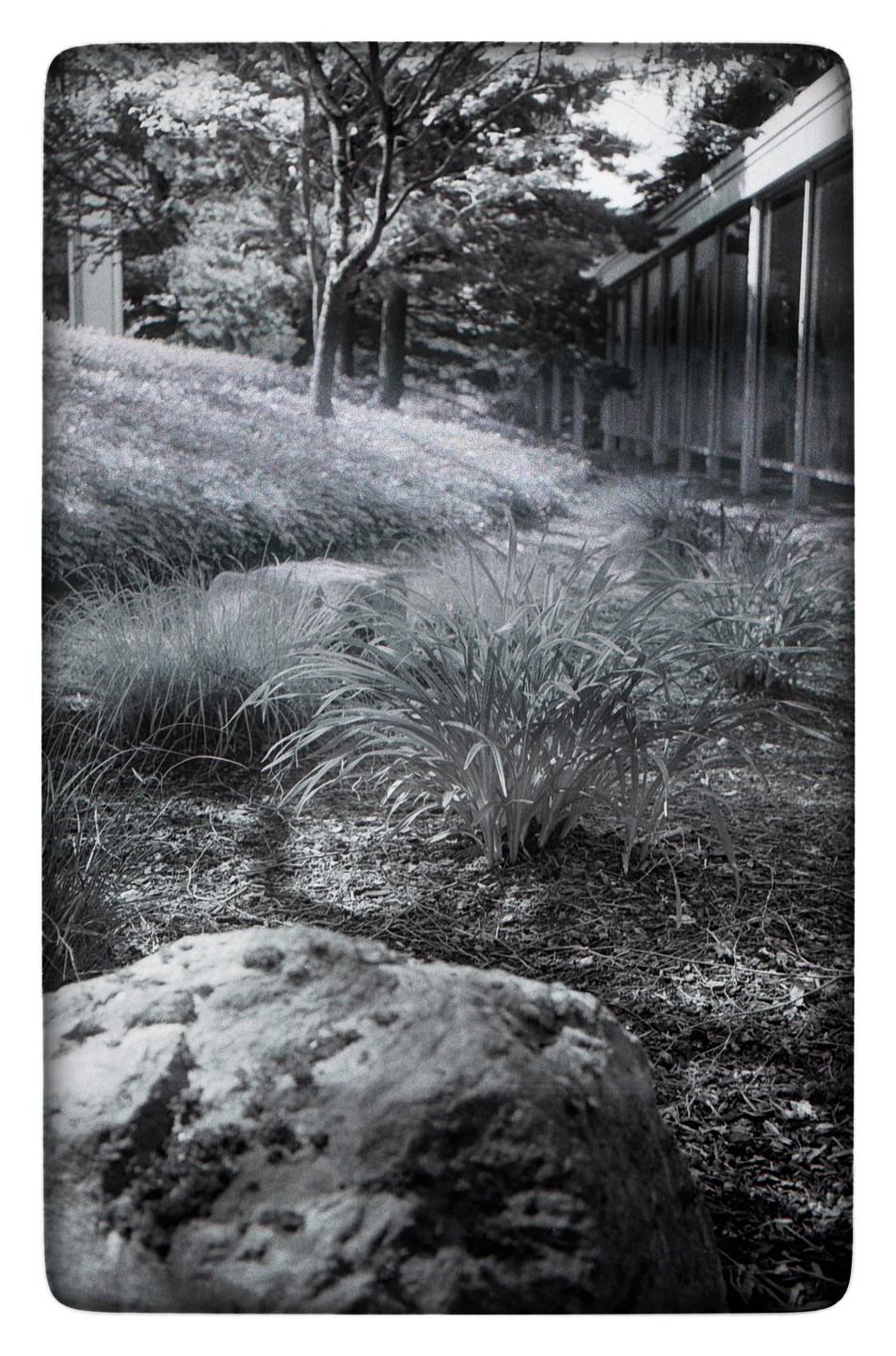 A large rock sits in the foreground of a garden with a building and trees in the background.