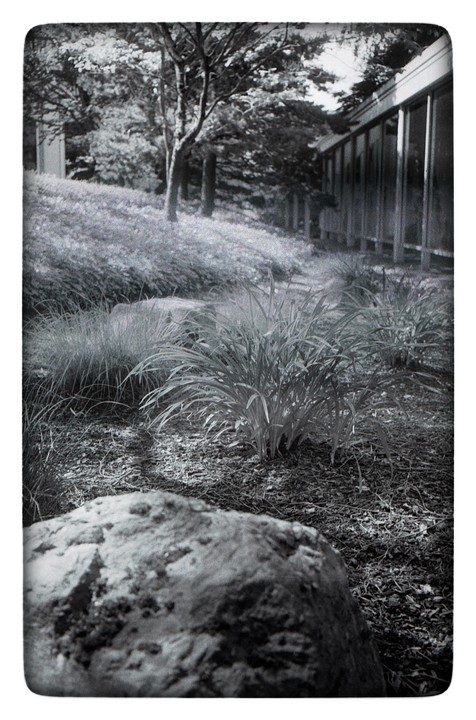 A large rock sits in the foreground of a garden with a building and trees in the background.