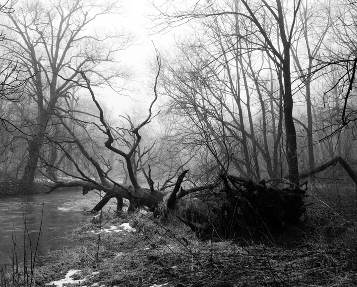 A fallen tree with exposed roots lies next to a river in a foggy forest.