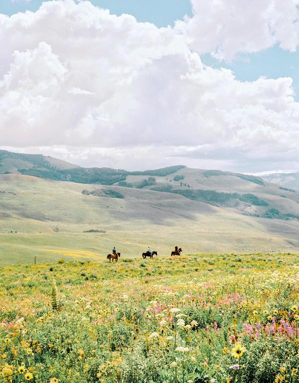 Three people ride horses through a field of wildflowers with rolling hills in the background under a cloudy sky.