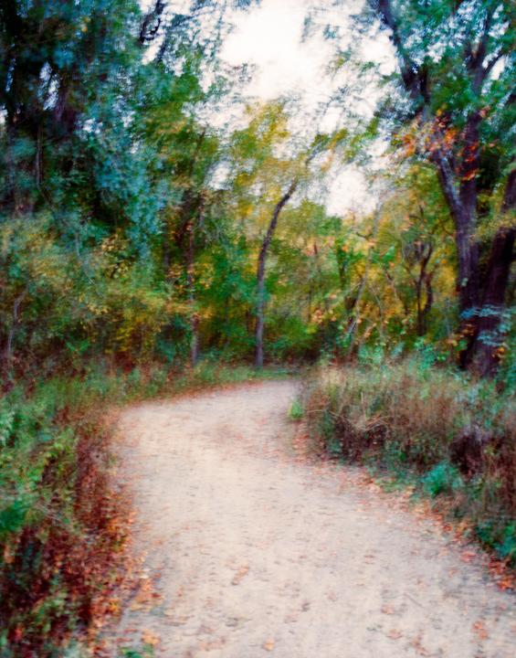 A blurry path winds through a forest with green and yellow foliage.