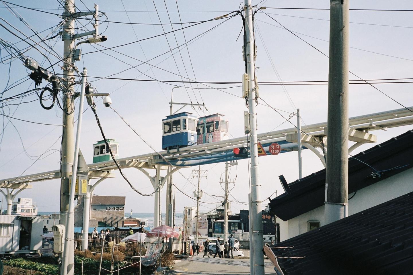 A monorail with multiple cars travels above a street with buildings and utility poles.