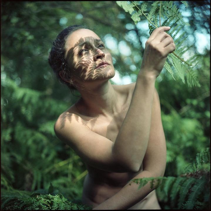 A woman stands among ferns, looking up and holding a fern frond, with fern shadows cast across her face and body.