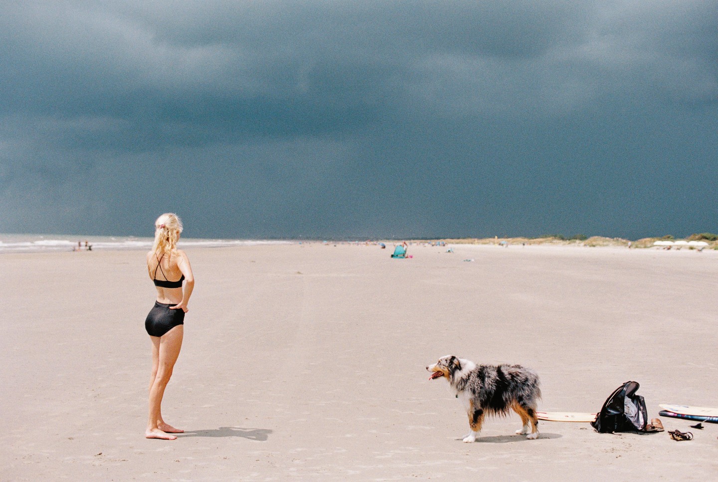 A woman and a dog stand on a wide sandy beach under a dark, stormy sky.