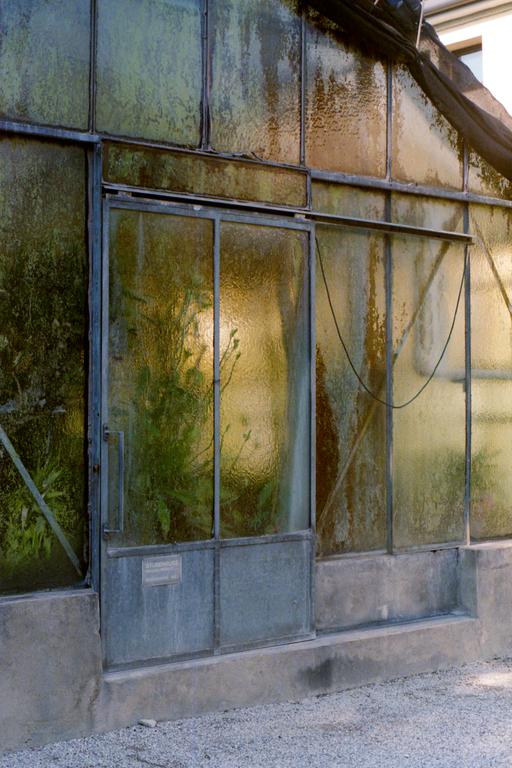 A weathered greenhouse with textured glass panels and a metal door stands beside a gravel path.