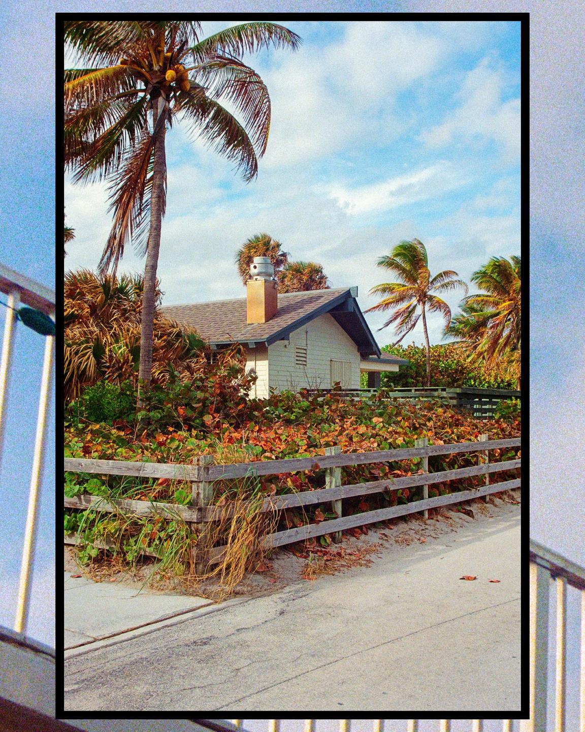 A small house with a chimney is nestled among palm trees and lush foliage, behind a wooden fence and a sandy path.