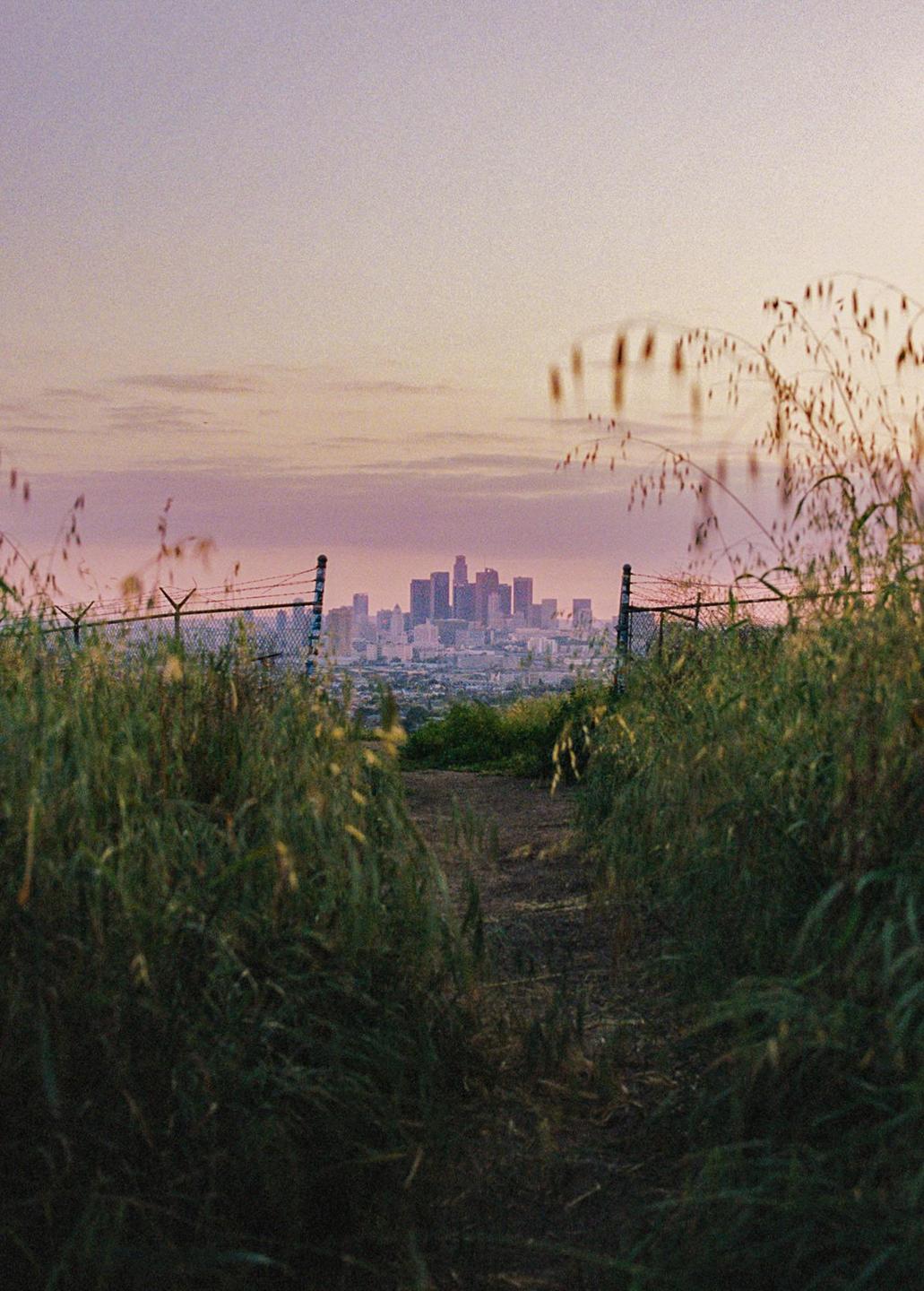 A dirt path leads through tall grass towards a distant city skyline under a pink and purple sky.