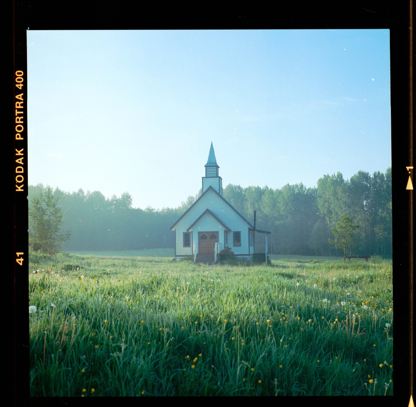 A small white church with a steeple stands in a field of tall grass and wildflowers, with a forest in the background.