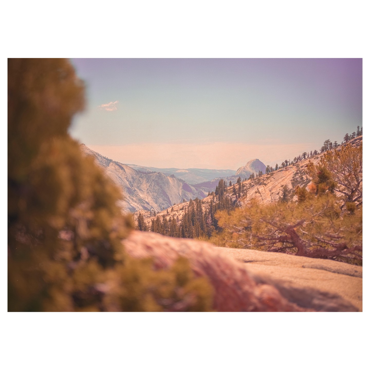 A scenic landscape shows a valley with mountains and evergreen trees under a clear sky.