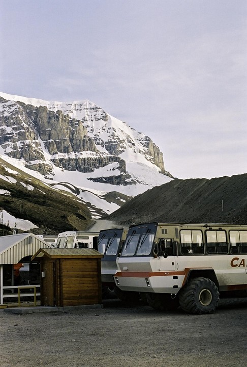Several large snow buses are parked in front of a snow-covered mountain.