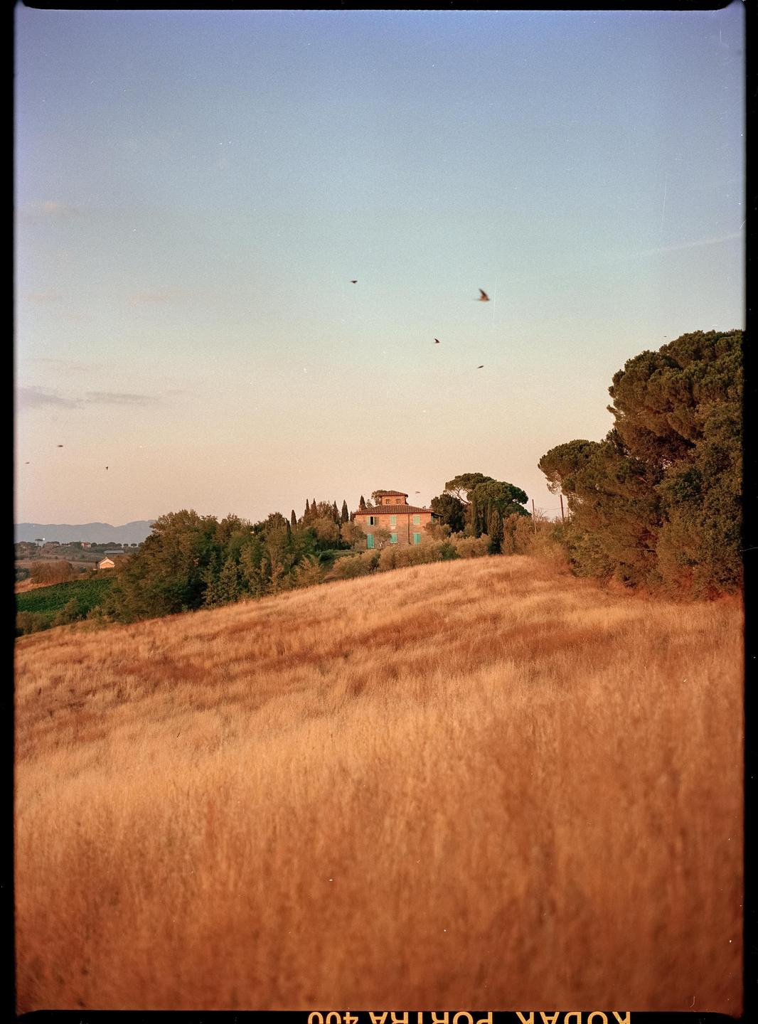 A house with blue shutters sits on a hill covered in dry grass and trees under a clear sky with birds flying.