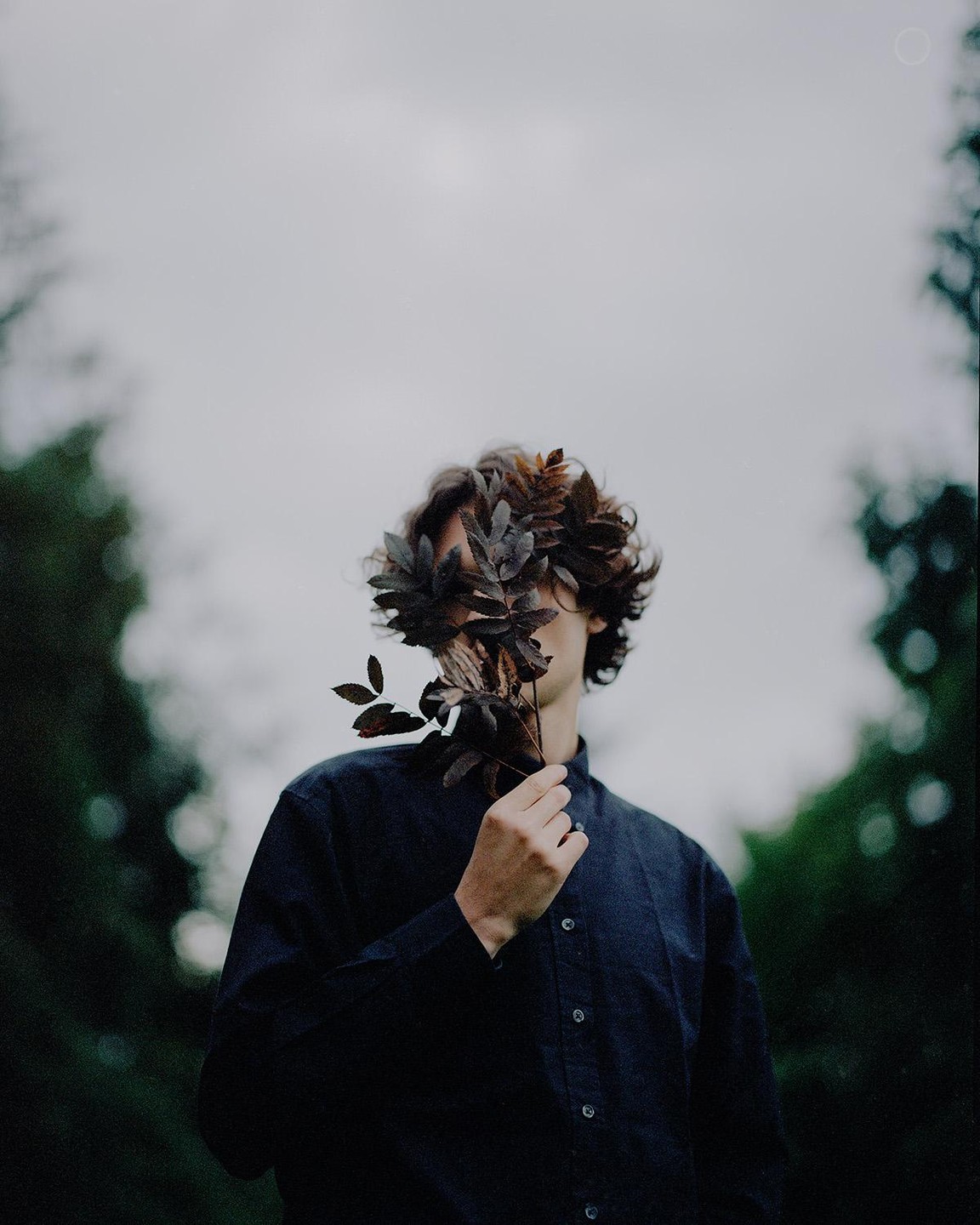 A man with curly hair holds a branch with dark leaves in front of his face, obscuring it.