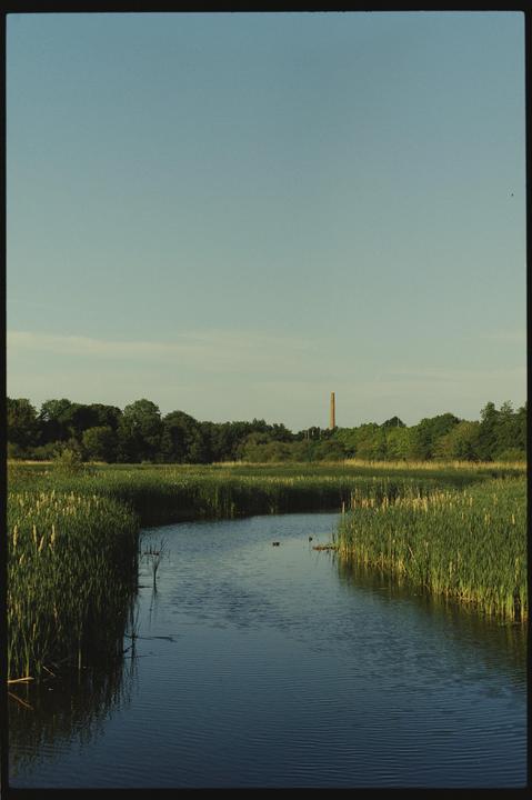 A narrow body of water with tall reeds on both sides leads to a distant forest and a tall chimney.