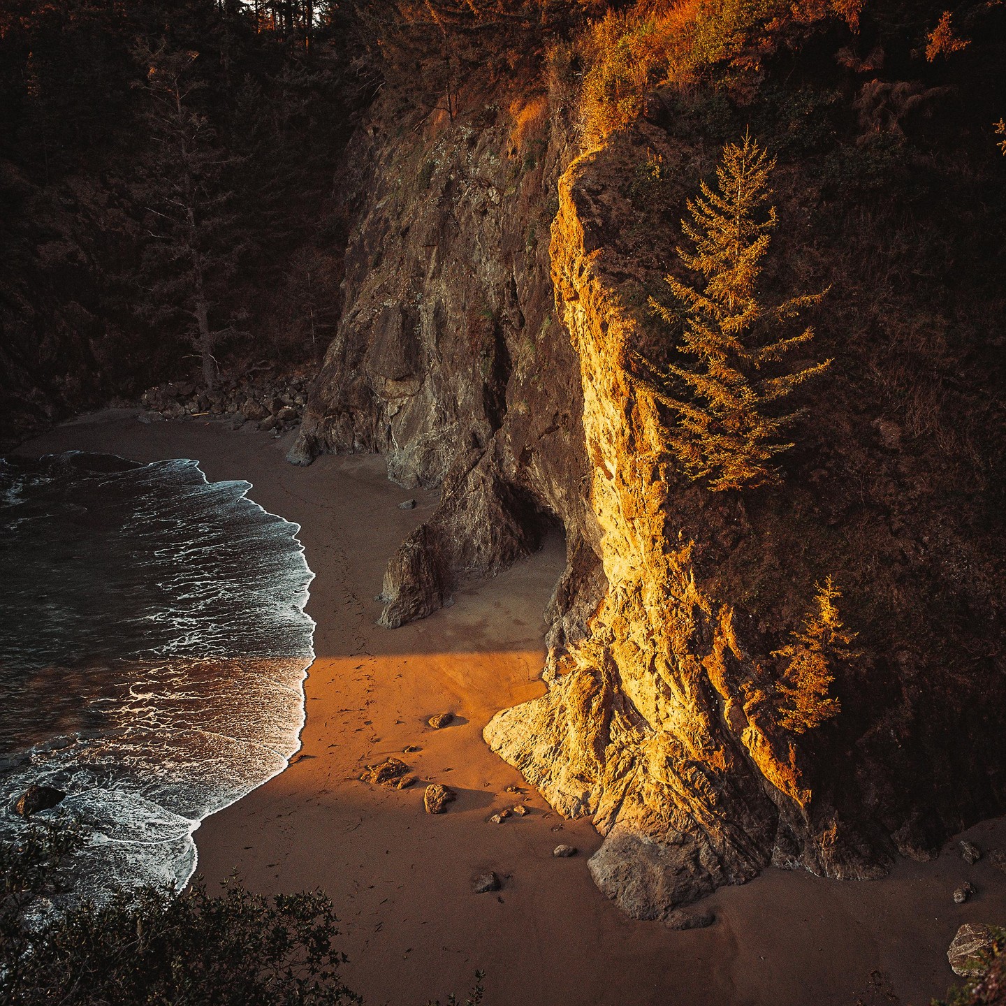 A small cove with a sandy beach is illuminated by golden hour light on one side of a tall cliff.