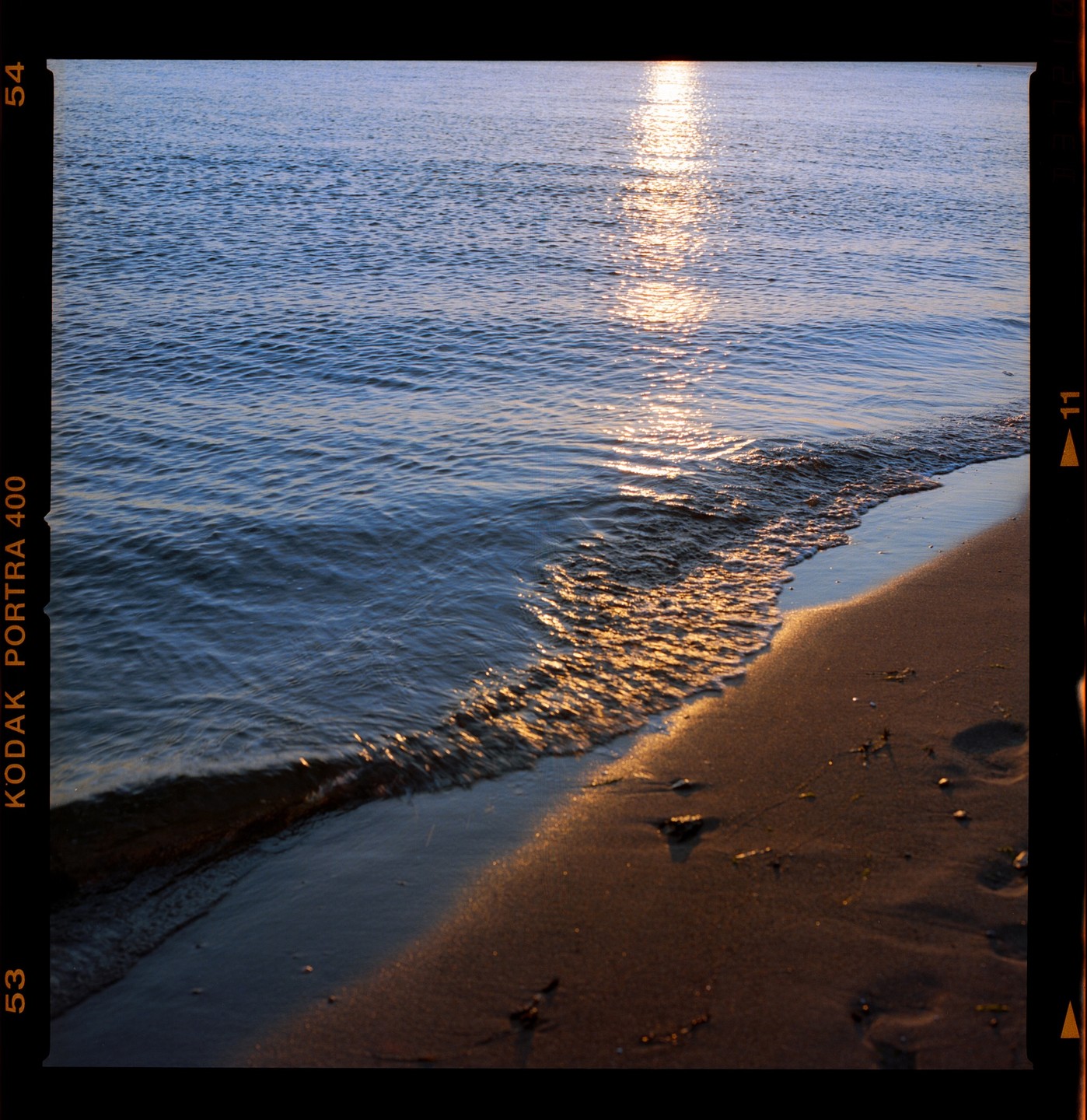 The sun reflects on the water and wet sand at the edge of a body of water.