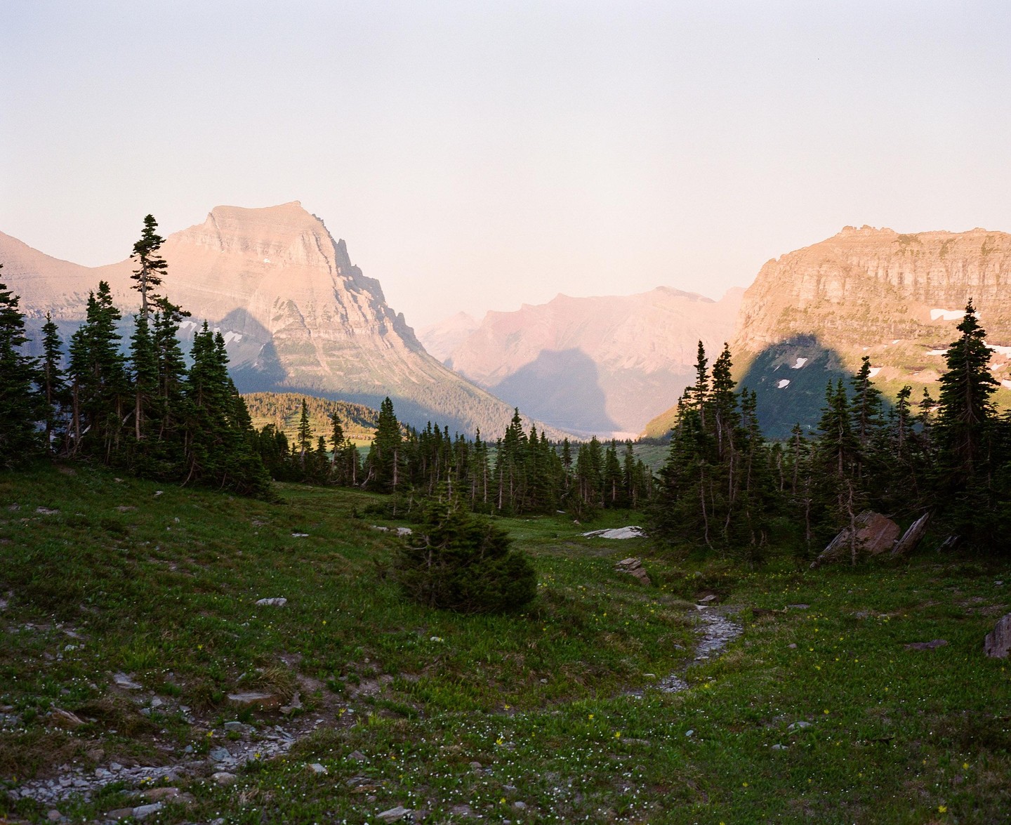 A narrow path winds through a grassy meadow with scattered trees, leading towards distant mountains under a soft, clear sky.