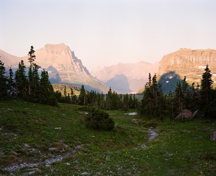 A narrow path winds through a grassy meadow with scattered trees, leading towards distant mountains under a soft, clear sky.