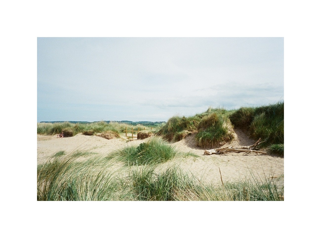 A person sits on a sandy beach with dunes covered in tall grass under a cloudy sky.