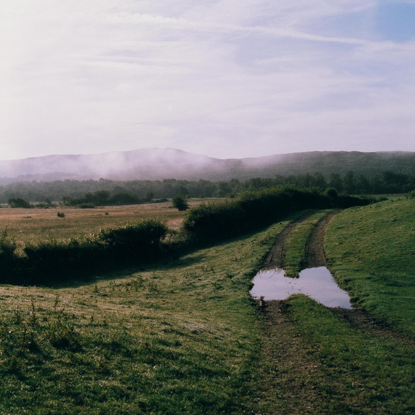 A dirt path with a puddle leads through a grassy field towards a distant forest and hazy mountains under a light sky.