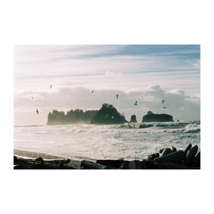 A flock of birds flies over a rocky beach with large waves crashing against the shore and tree-covered islands in the background.