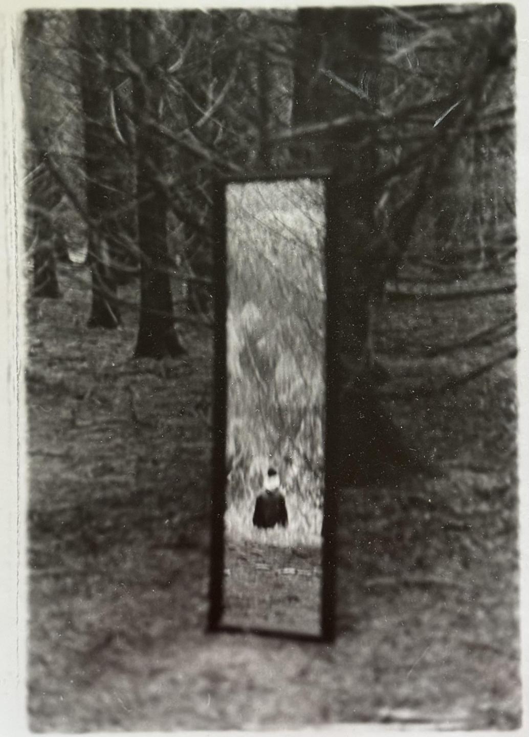 A mirror stands upright in a forest, reflecting a person in the distance.