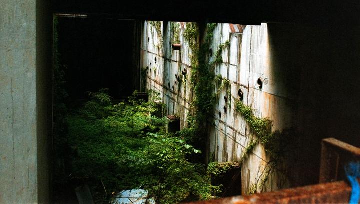 A concrete structure covered in vines and foliage is viewed through a dark opening.