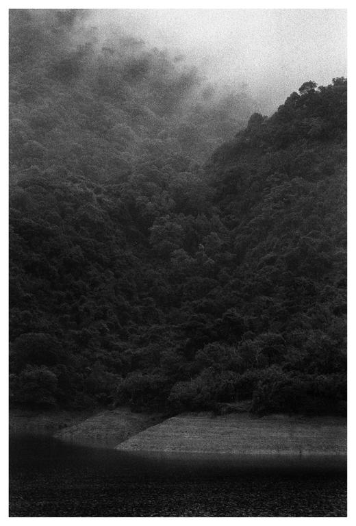 A body of water sits at the base of a large, tree-covered mountain shrouded in mist.