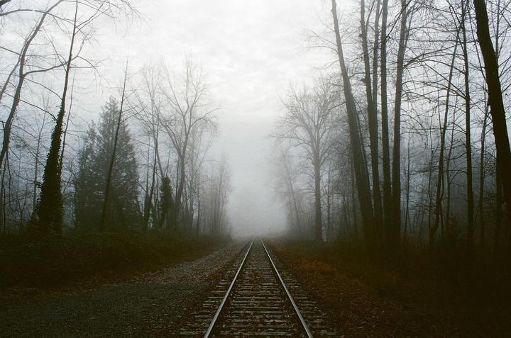 A set of railroad tracks disappears into a dense fog surrounded by a forest of bare trees.