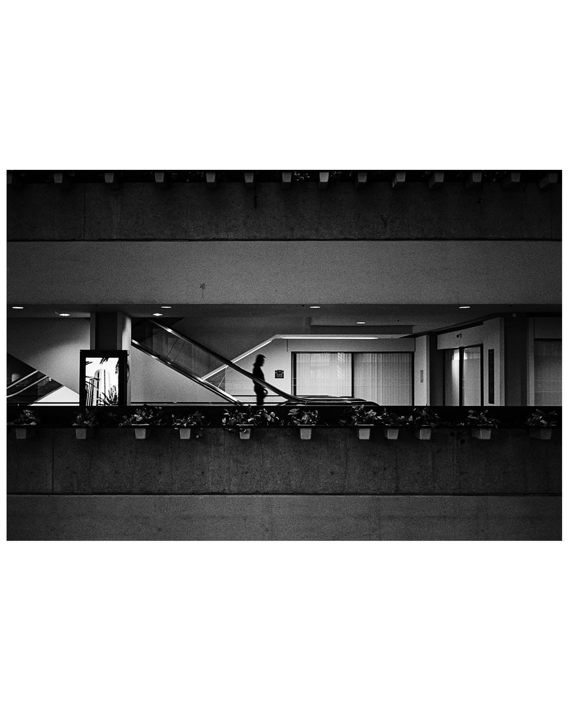 A silhouette of a woman stands on an escalator in a building with planters lining a ledge.