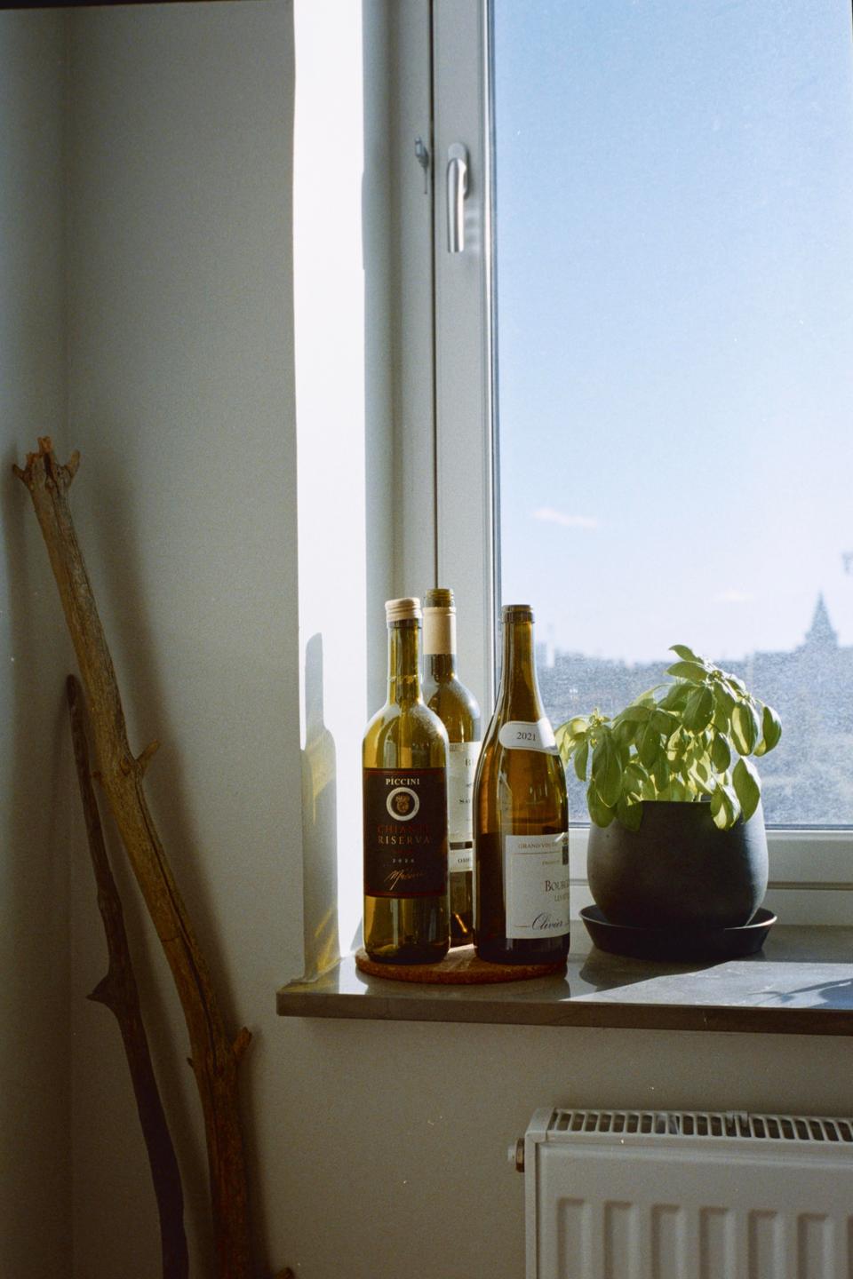 Three bottles of wine and a potted plant sit on a sunlit windowsill next to a large branch.