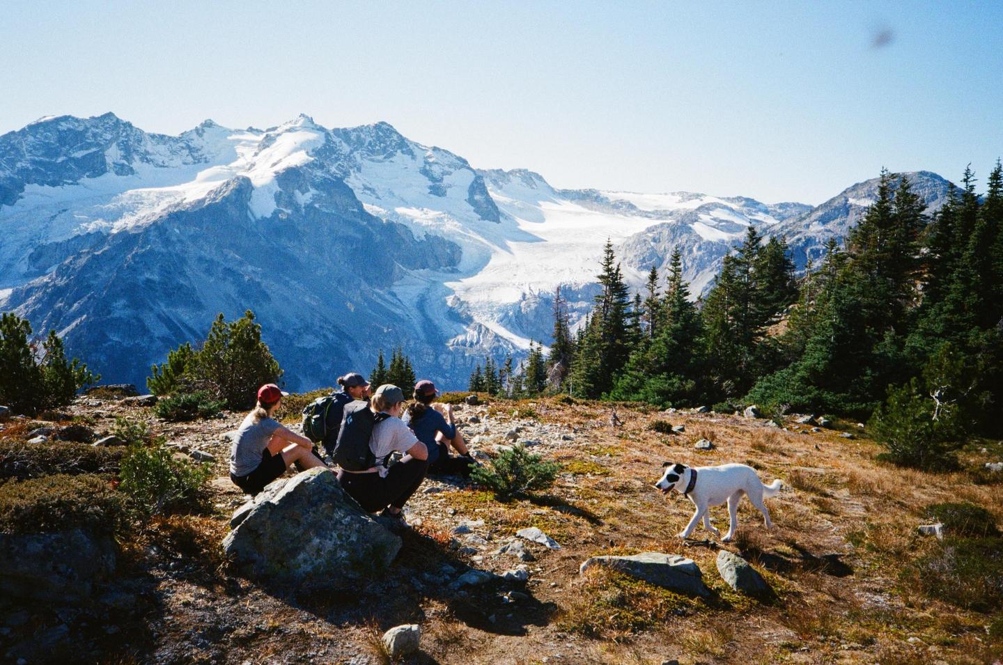 A group of people and a dog are on a mountain with snow-capped peaks and pine trees in the background.