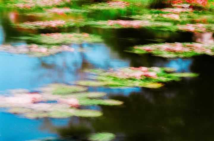 A long exposure photograph captures the painterly quality of water lilies floating on a pond.