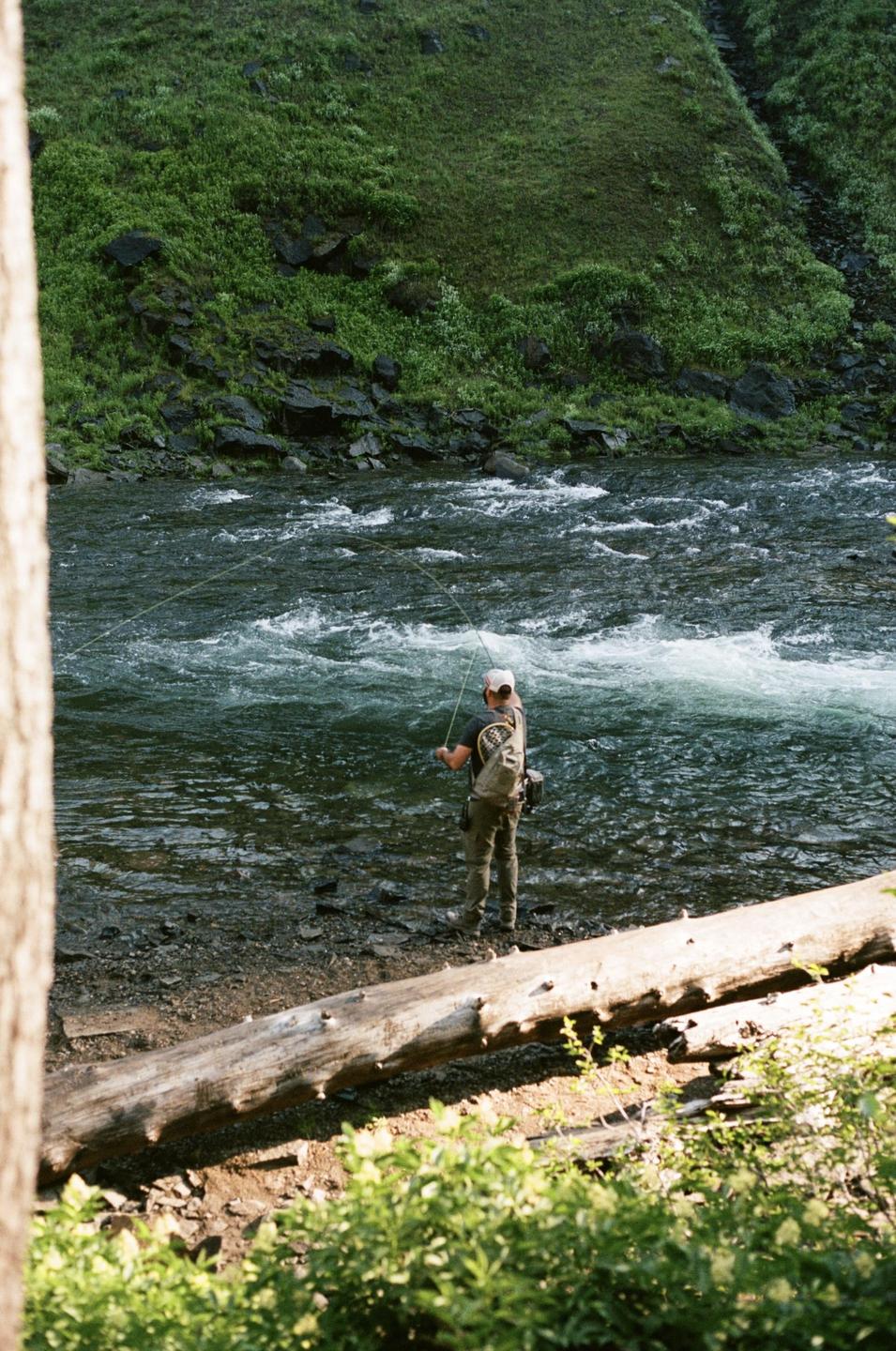 A man fly fishing in a river with a lush green hillside in the background.