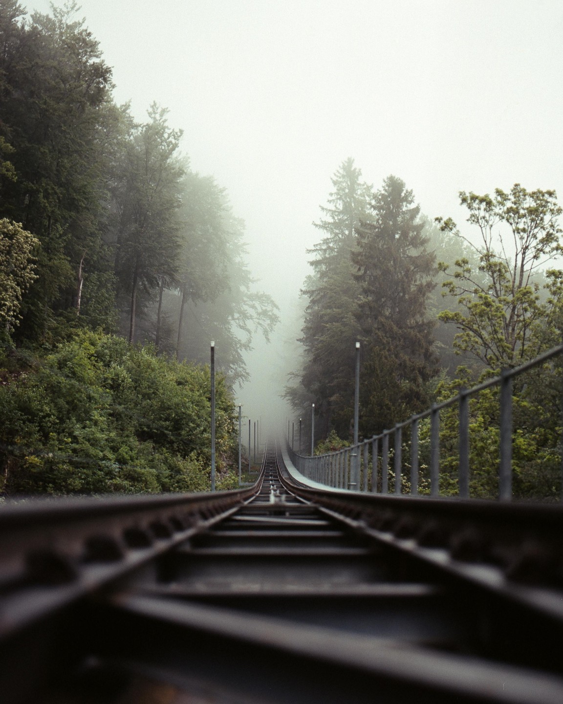 A train track ascends into a foggy forest.