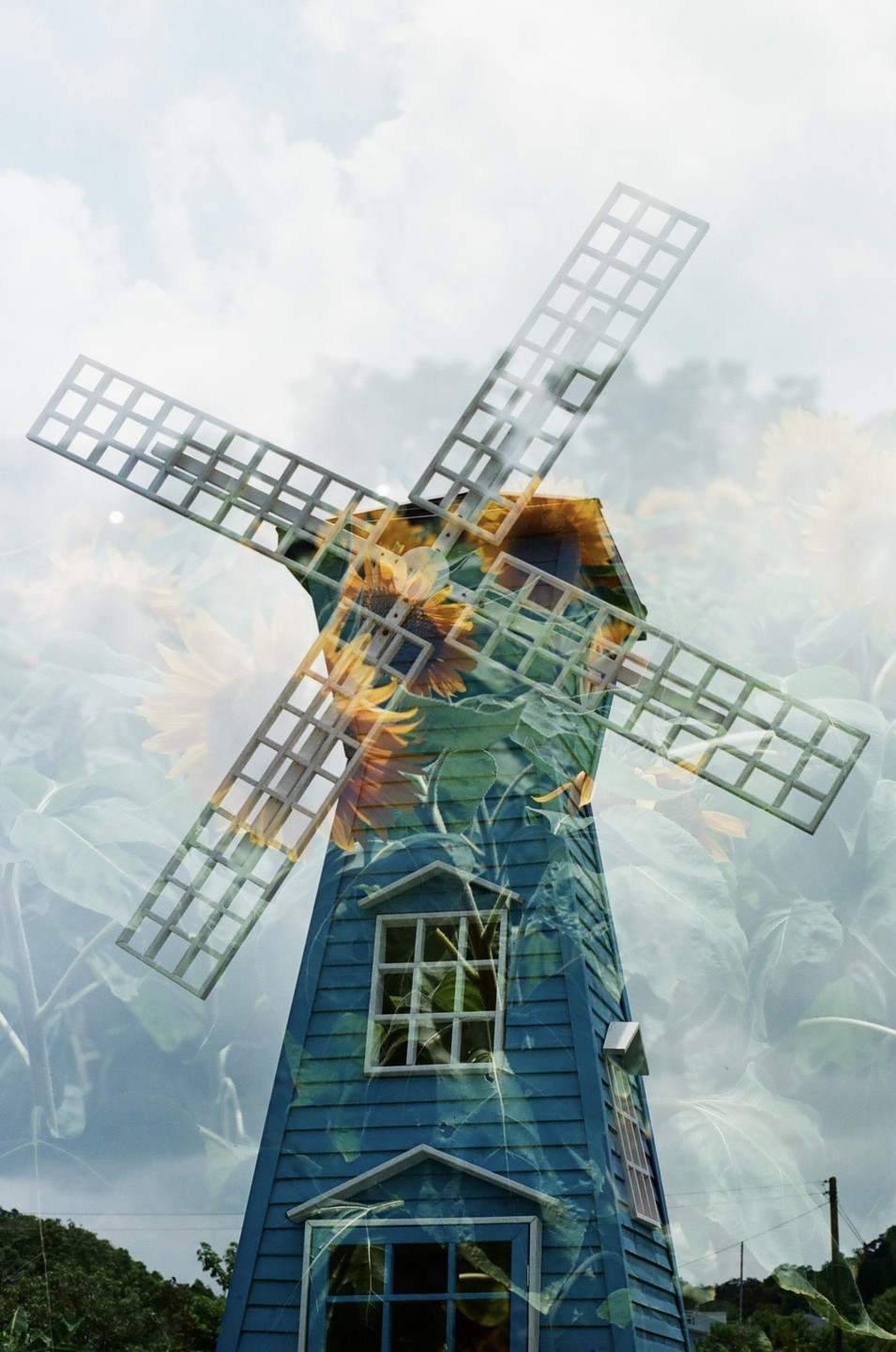 A blue windmill is double exposed with a field of sunflowers under a cloudy sky.