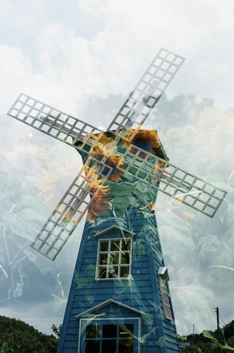 A blue windmill is double exposed with a field of sunflowers under a cloudy sky.