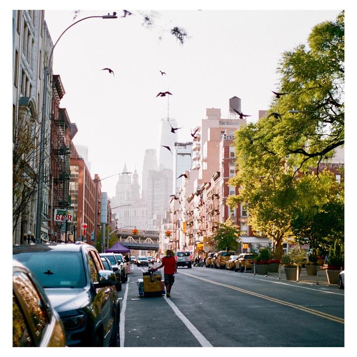A man pulls a cart down a city street lined with parked cars and buildings, with birds flying overhead and a distant skyline.
