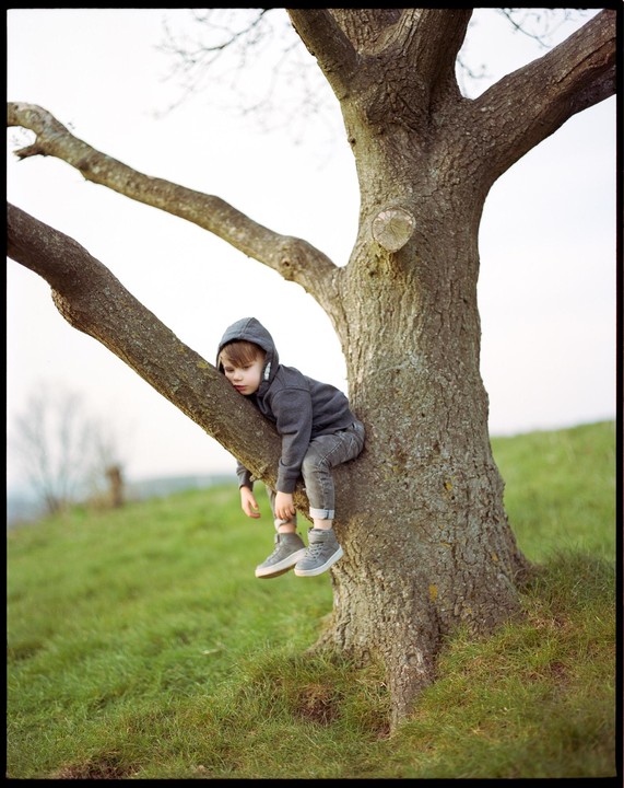 A child in a gray hoodie and jeans sits on a tree branch in a grassy field.