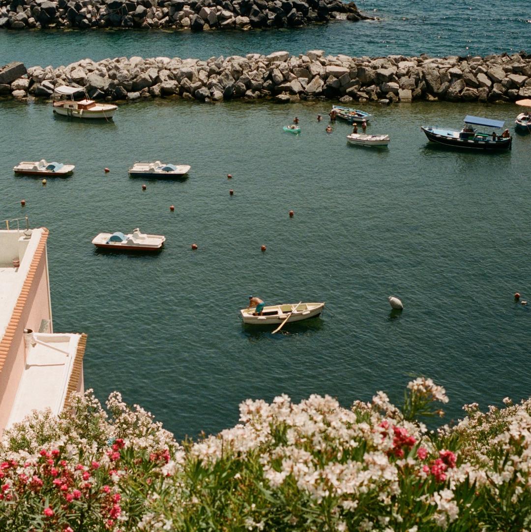 A bay with several boats and a rocky breakwater is seen from above, with flowering bushes in the foreground.