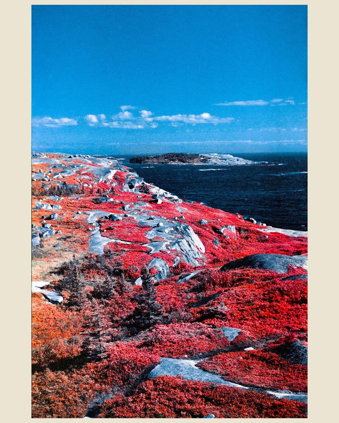 A vibrant red landscape with scattered rocks and trees slopes down to a dark blue ocean under a bright blue sky.