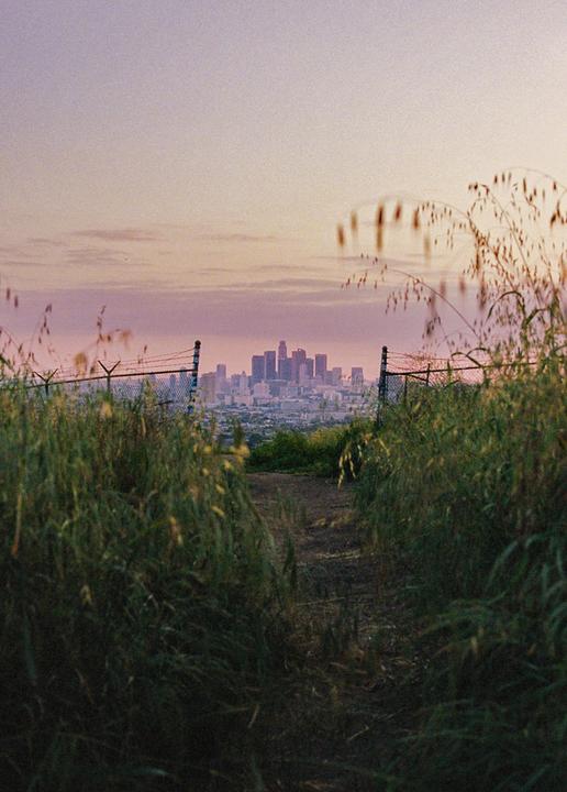 A dirt path leads through tall grass towards a distant city skyline under a pink and purple sky.