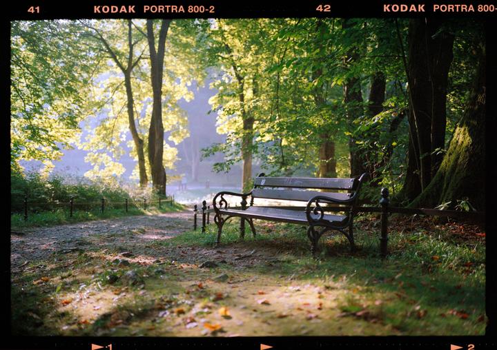 A park bench sits beside a path with trees and hazy light in the background.