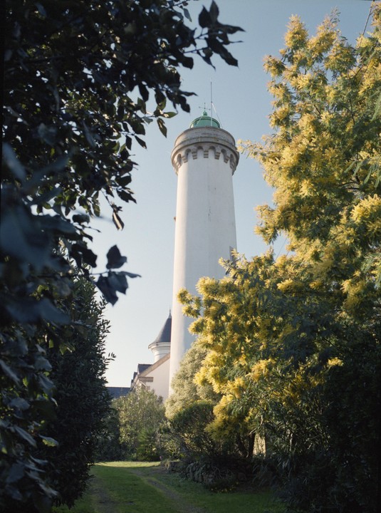 A white lighthouse with a green top is framed by dark green foliage on the left and bright yellow flowering trees on the right, with a grassy path leading towards it.