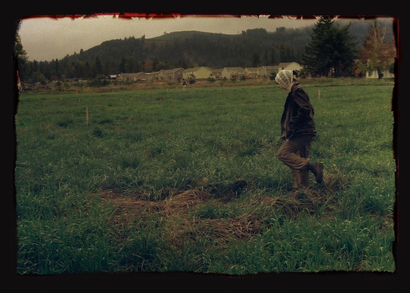 A person with a white mesh covering their head walks through a grassy field with houses and a forest in the background.