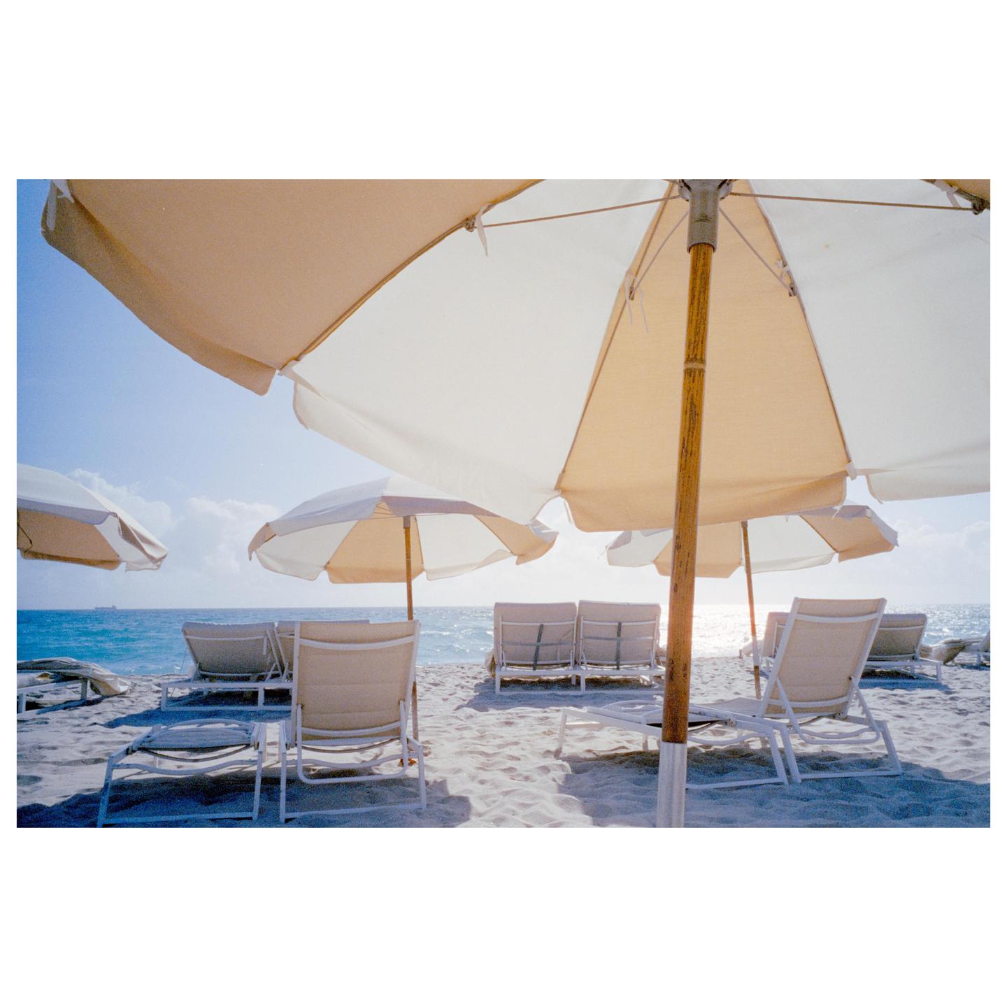 Beach umbrellas and lounge chairs line a sandy beach next to the ocean.