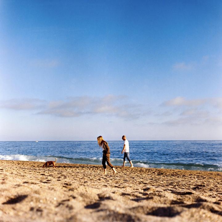 A woman, a man, and a dog walk along a sandy beach next to the ocean under a blue sky.
